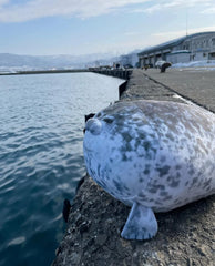YESGIRL seal plush pillow nose detail showcases realistic marine-inspired cuteness.