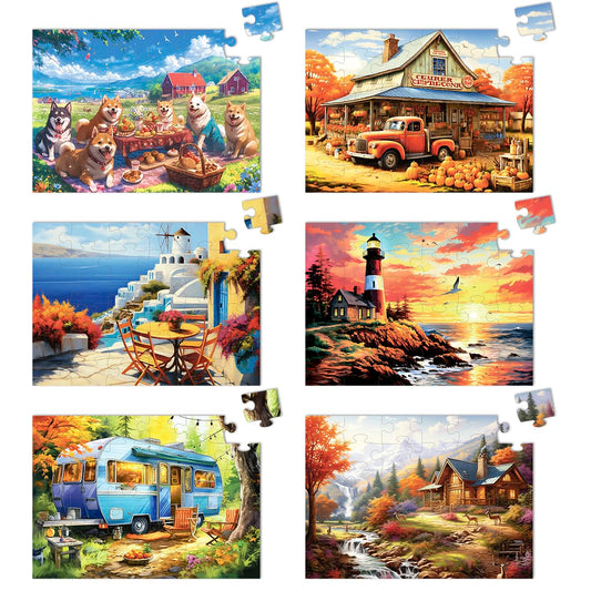 Yigney 6 pack senior puzzles with large pieces for easy handling.