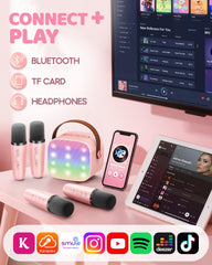 YLL family party use scene, portable karaoke for home gatherings