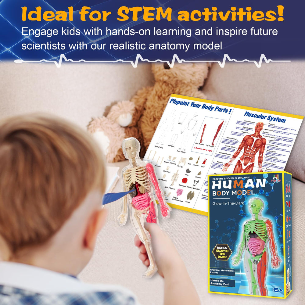YOFUN skeleton model detailed assembly guide for easy setup.
