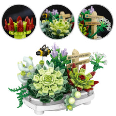YONGJULE succulent bonsai building set packaging ready for gifting