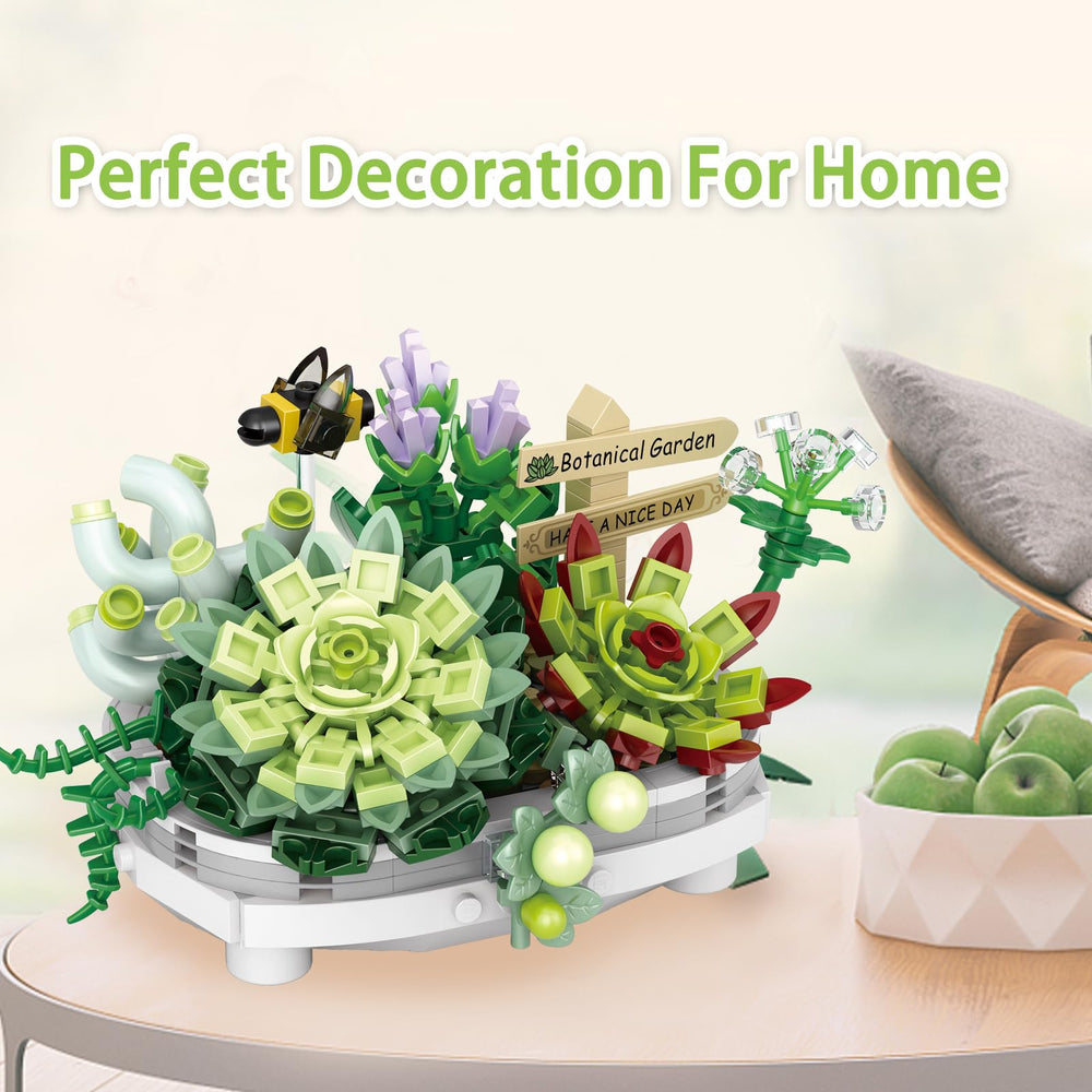 YONGJULE succulent bonsai on desk adds calm, stylish focal point