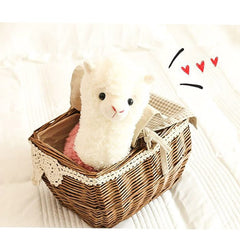 YUKOUQIAN huggable llama toy helps children relax during naps.