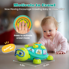 Zardali bilingual toy teaches letters, numbers, colors, and animals
