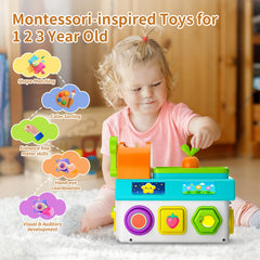 Zardali Montessori sliding window switch adds action and discovery during play.