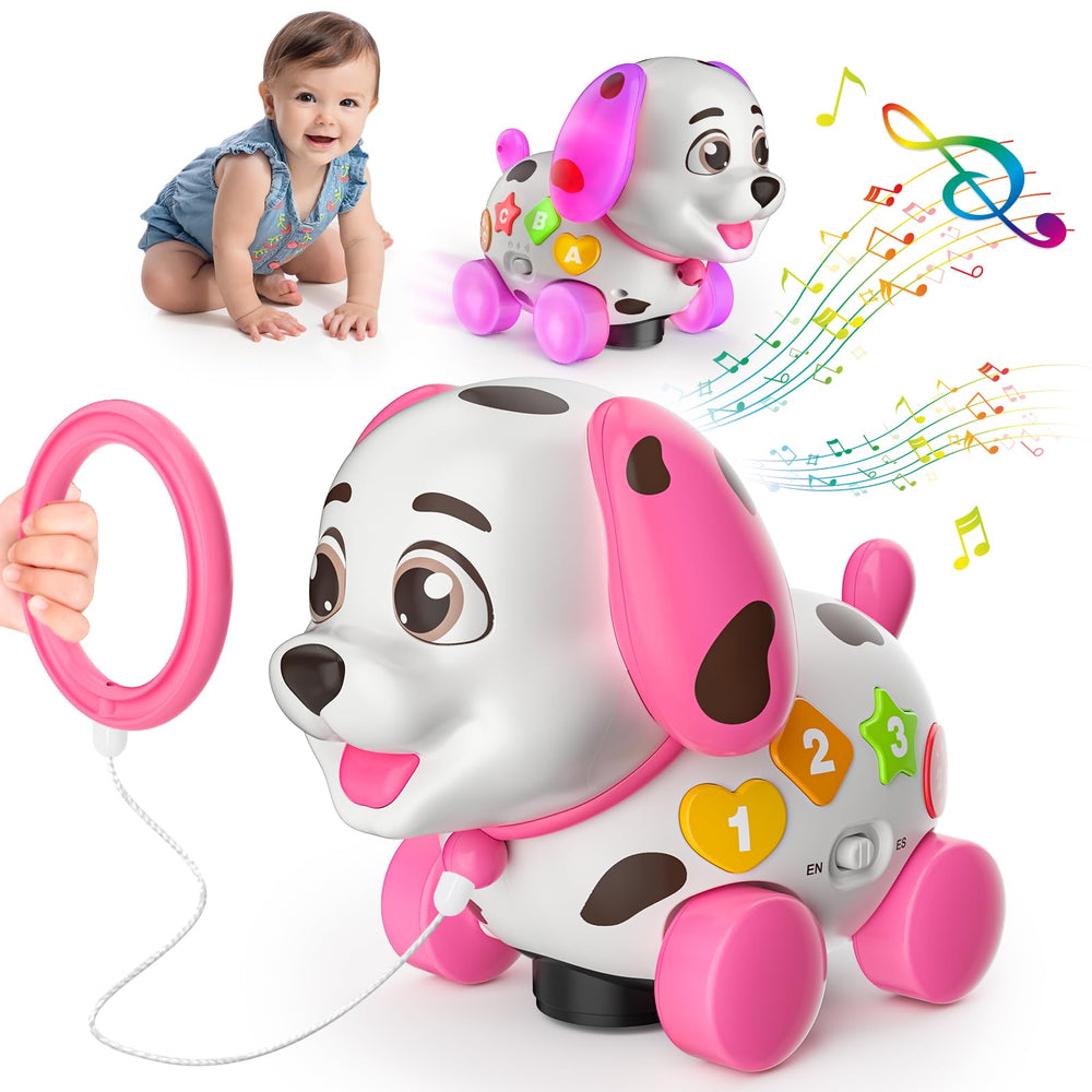 Zardali bilingual toy buttons for ABCs and numbers.