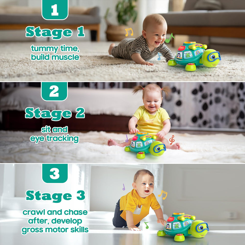 Zardali musical turtle with lights for early auditory and visual play