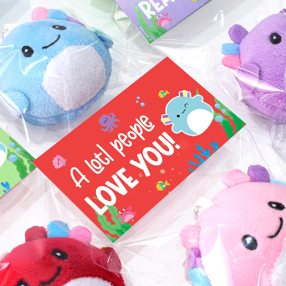 Zesua Valentines gifts for kids suitable for classroom exchanges