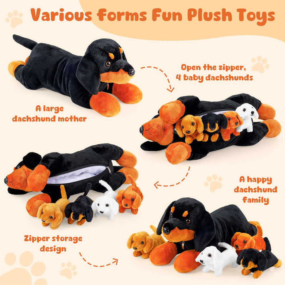 ZJoey dachshund puppies opened treasure-hunt zipper feature for kids