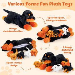 ZJoey dachshund puppies opened treasure-hunt zipper feature for kids