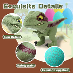 ZOHANINDL green dinosaur egg with surprise dinosaur inside.