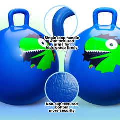 ZOOJOY 20-inch ball made from non-toxic PVC with non-slip base.