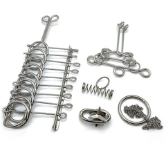 Zooshine family-friendly metal brain teasers supporting focus and shared learning
