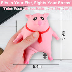 ZRW squishy pig gift idea for teens and adults