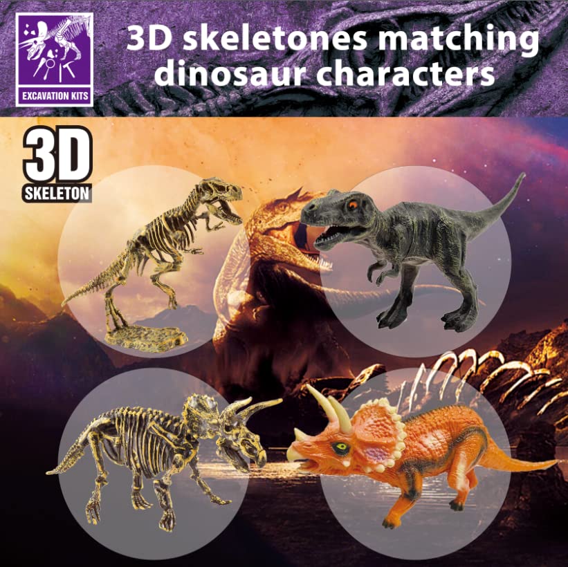 10Leccion dino puzzle T-Rex skeleton shows two 3D models for STEM learning