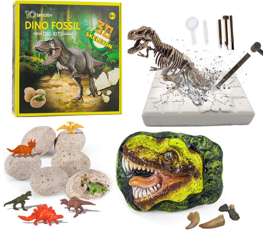 10Leccion dinosaur head fossil with tyrannosaurus teeth for hands-on paleontology learning.