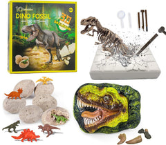 10Leccion dinosaur head fossil with tyrannosaurus teeth for hands-on paleontology learning.