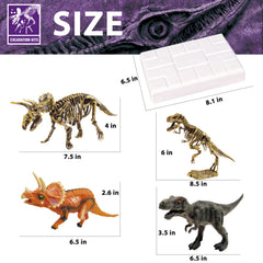 10Leccion kid using dino dig kit during curious learning and exploration