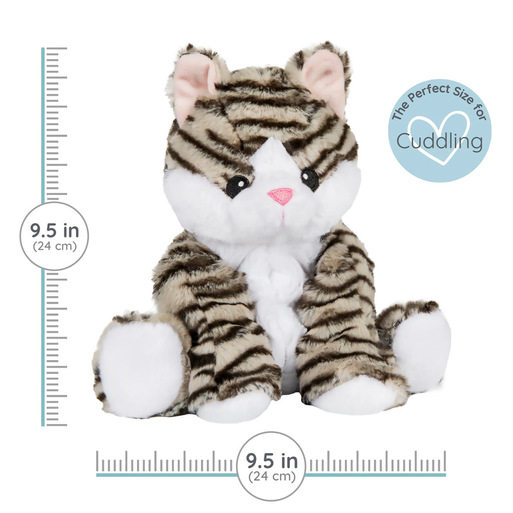 1i4 Group Kiki Kitten heat and cool options for year-round comfort.