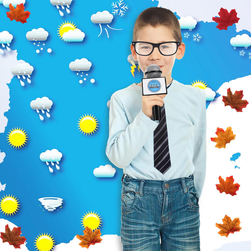 2 MULE TEAM weather forecast board helps kids learn weather basics.