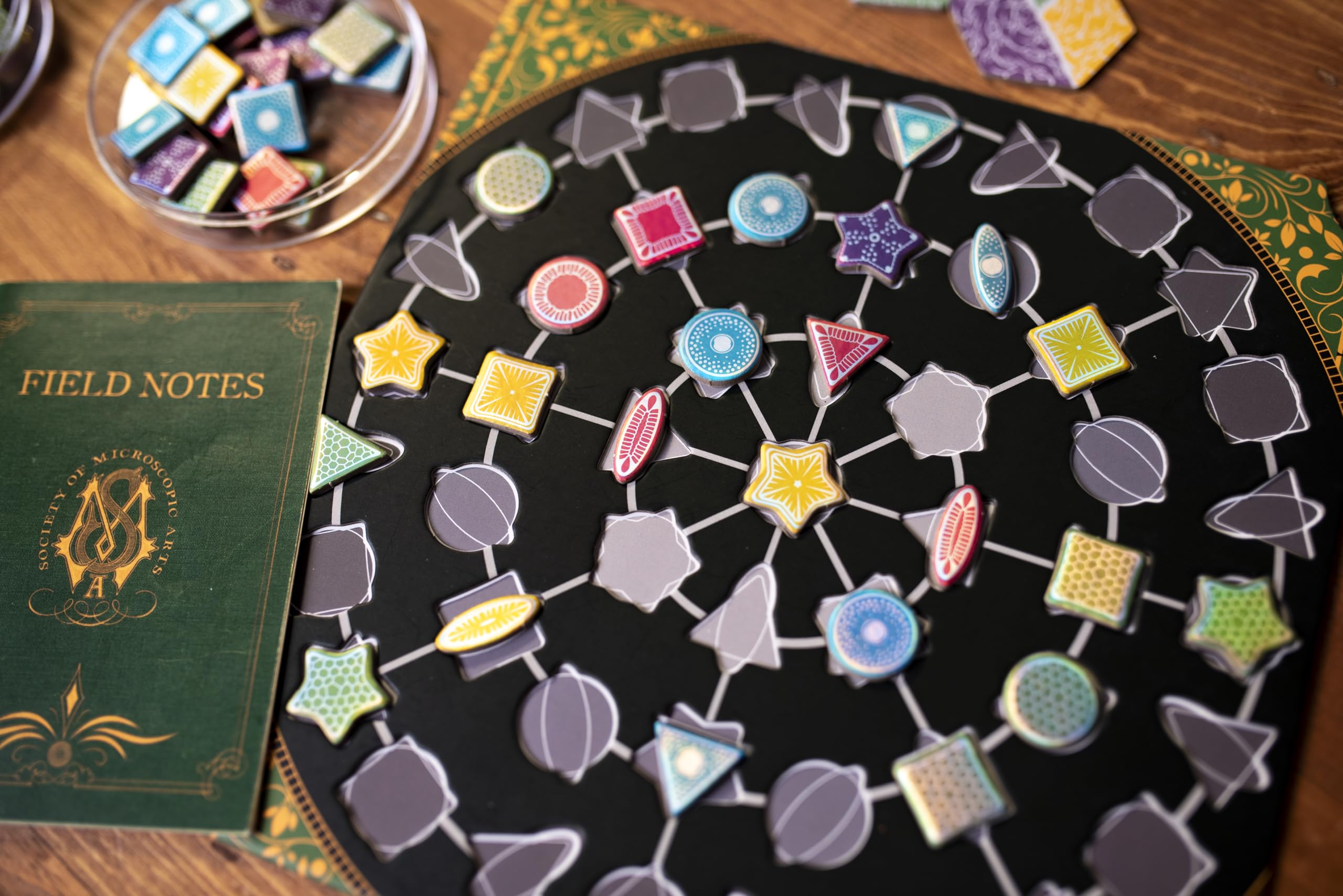 Diatoms colorful tiles illustrating the artful components from 25th Century Games