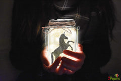 2Pepers magic wand adds finishing touch for magical lantern designs