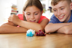 4M crystal-growth-experiment-setup demonstrates hands-on science exploration for kids.