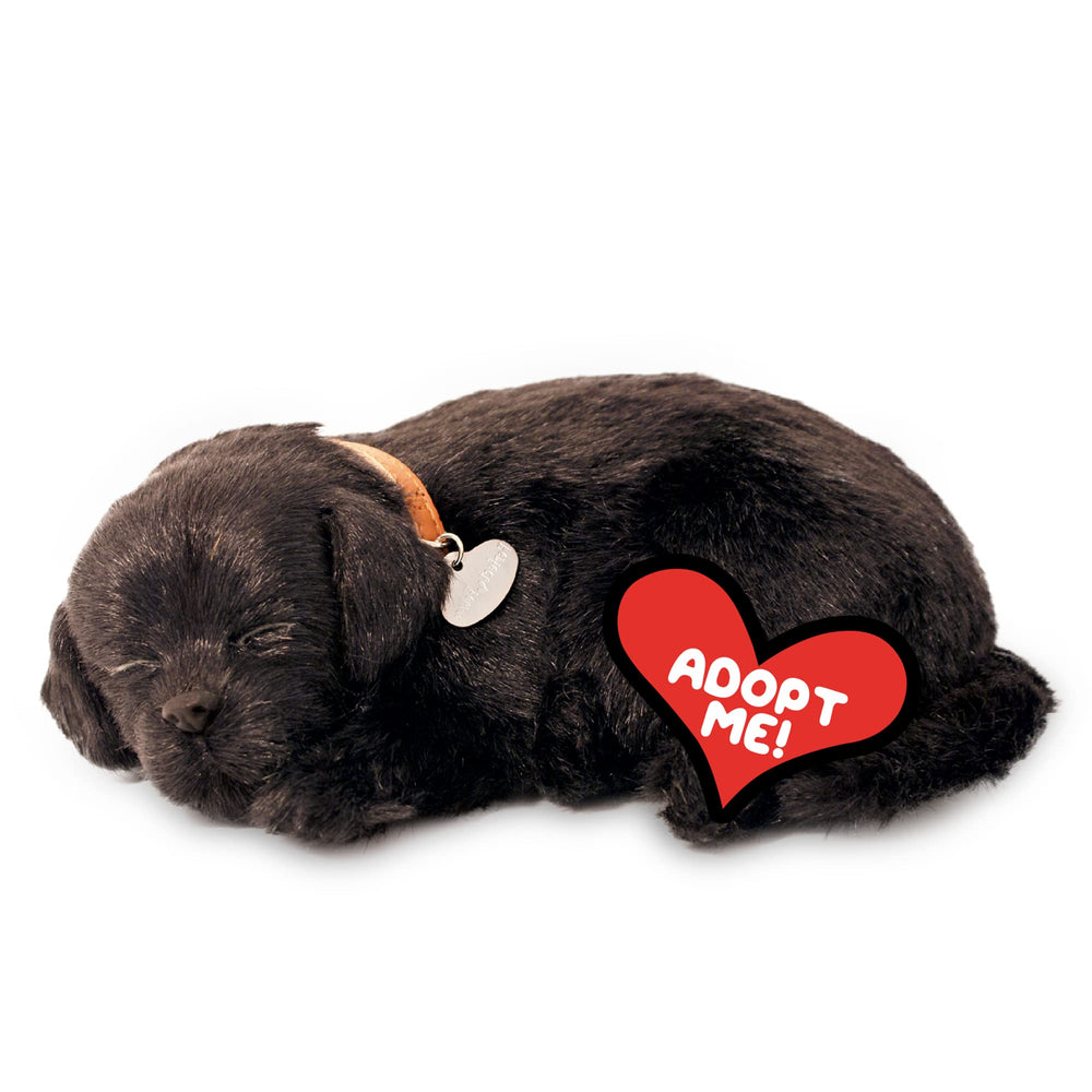 88 Unlimited Perfect Petzzz Black Lab breathing action for soothing companionship