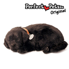 88 Unlimited Perfect Petzzz Black Lab interactive pose suitable for all ages