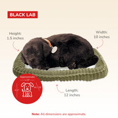 88 Unlimited Perfect Petzzz Black Lab movable tail adds lifelike playfulness