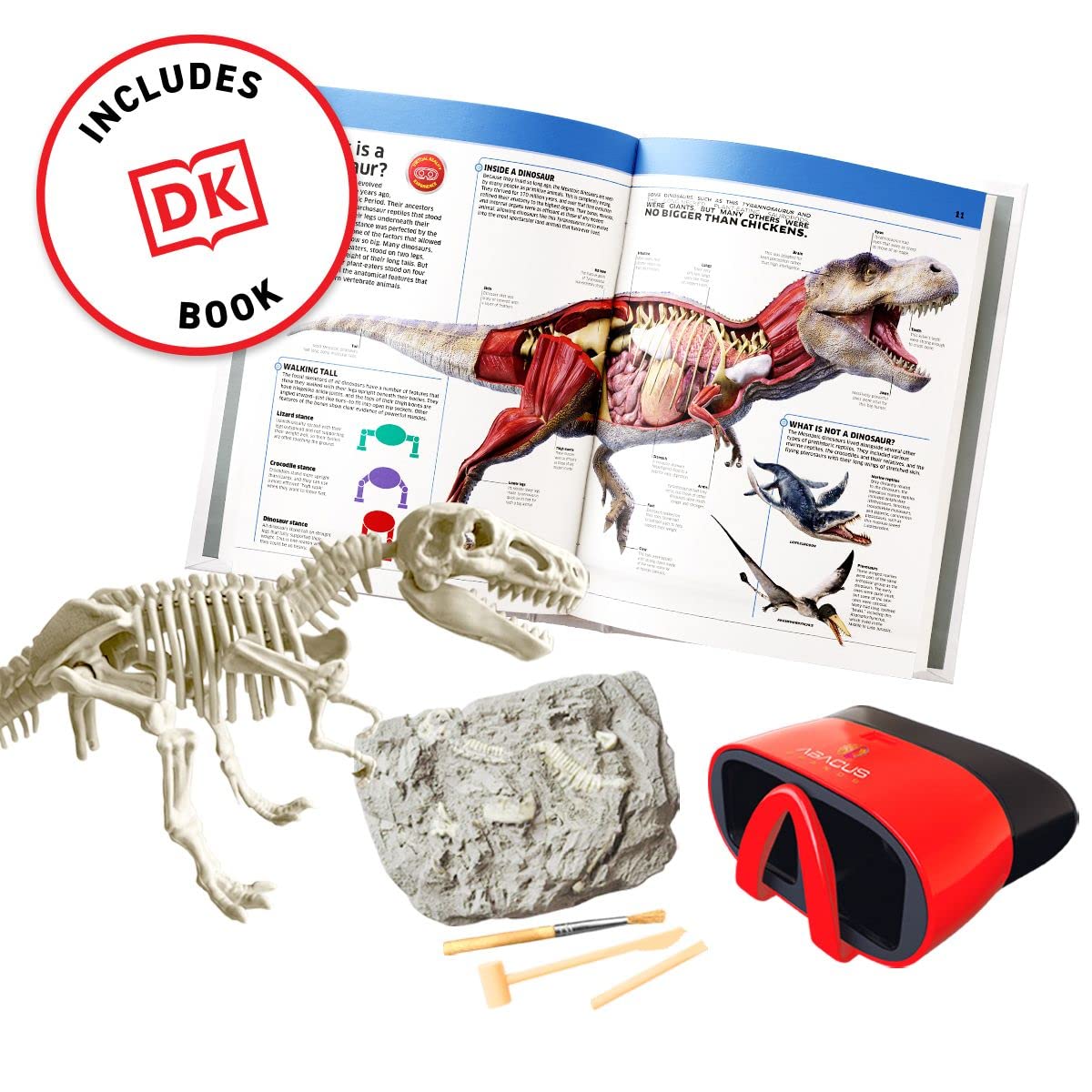 Abacus Brands dig-out rock with 10-inch T-Rex fossil for hands-on discovery.