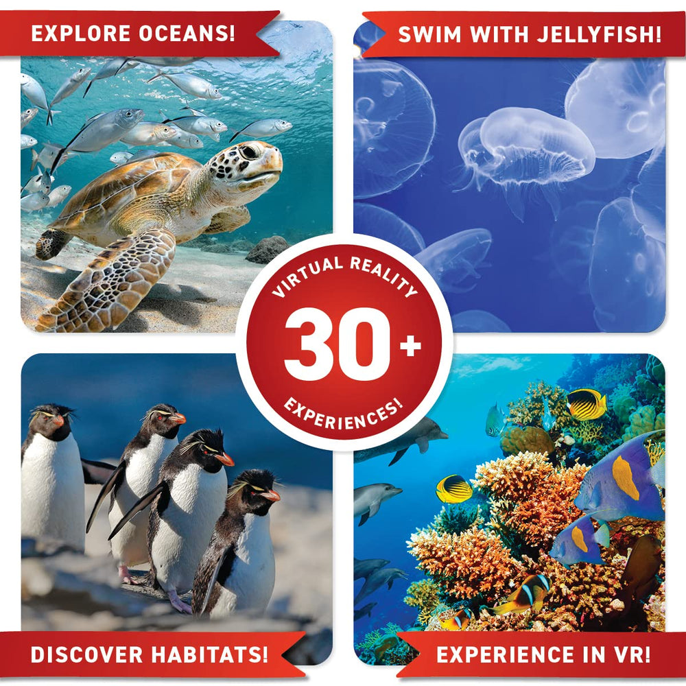 Abacus Brands ocean creature collection highlighting biodiversity for STEM curiosity.