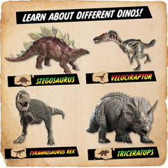 Abacus Brands Dino Dig tools and display kit for hands-on excavation.