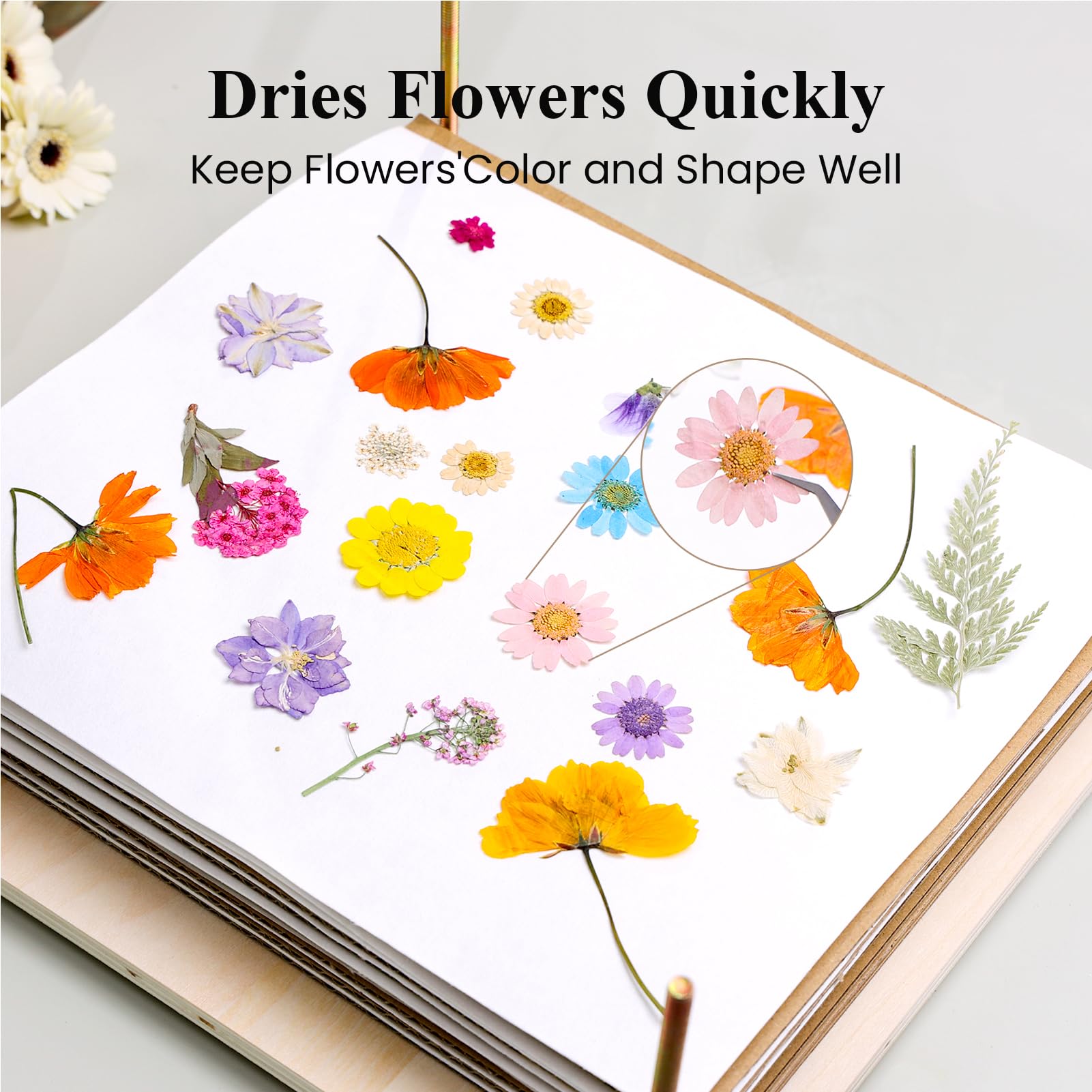 Aboofx easy-assembly flower press kit makes crafting approachable for beginners.