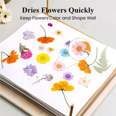 Aboofx easy-assembly flower press kit makes crafting approachable for beginners.