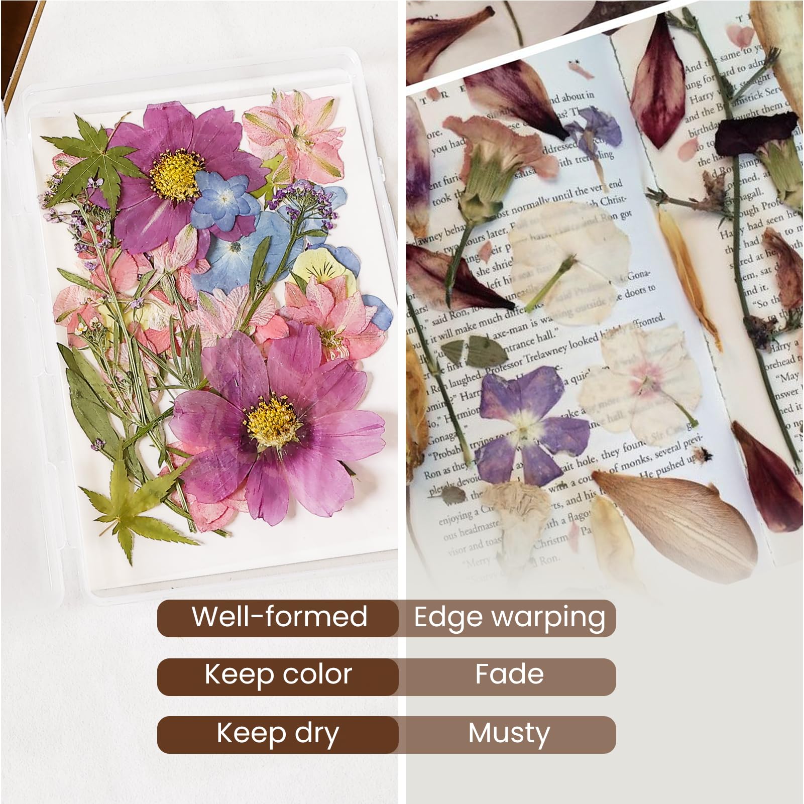 Aboofx blotting paper shields petals from light for color.