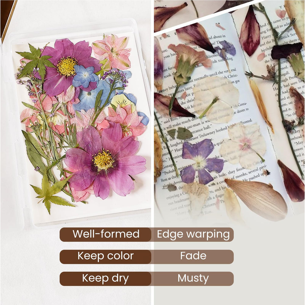 Aboofx blotting paper shields petals from light for color.