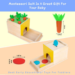 Adena Montessori Coin Box supports sorting and counting in a safe wooden toy