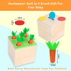 Adena Montessori coin box in use, promoting early problem-solving.