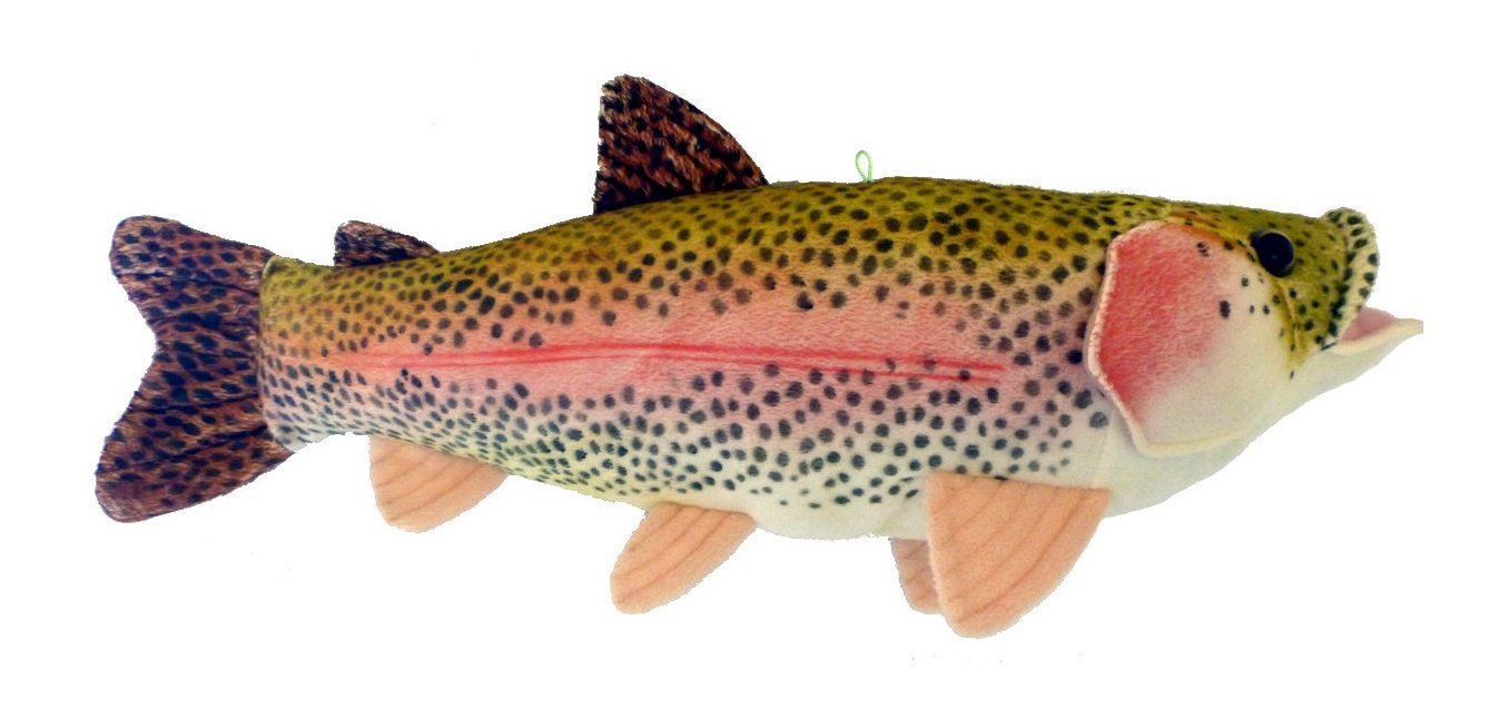 Adore Sierra Rainbow Trout plush wall toy with soft fabric and lifelike details for play.