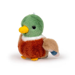 Adorlynetty Mallard Duck plush face detail sparks imaginative play.