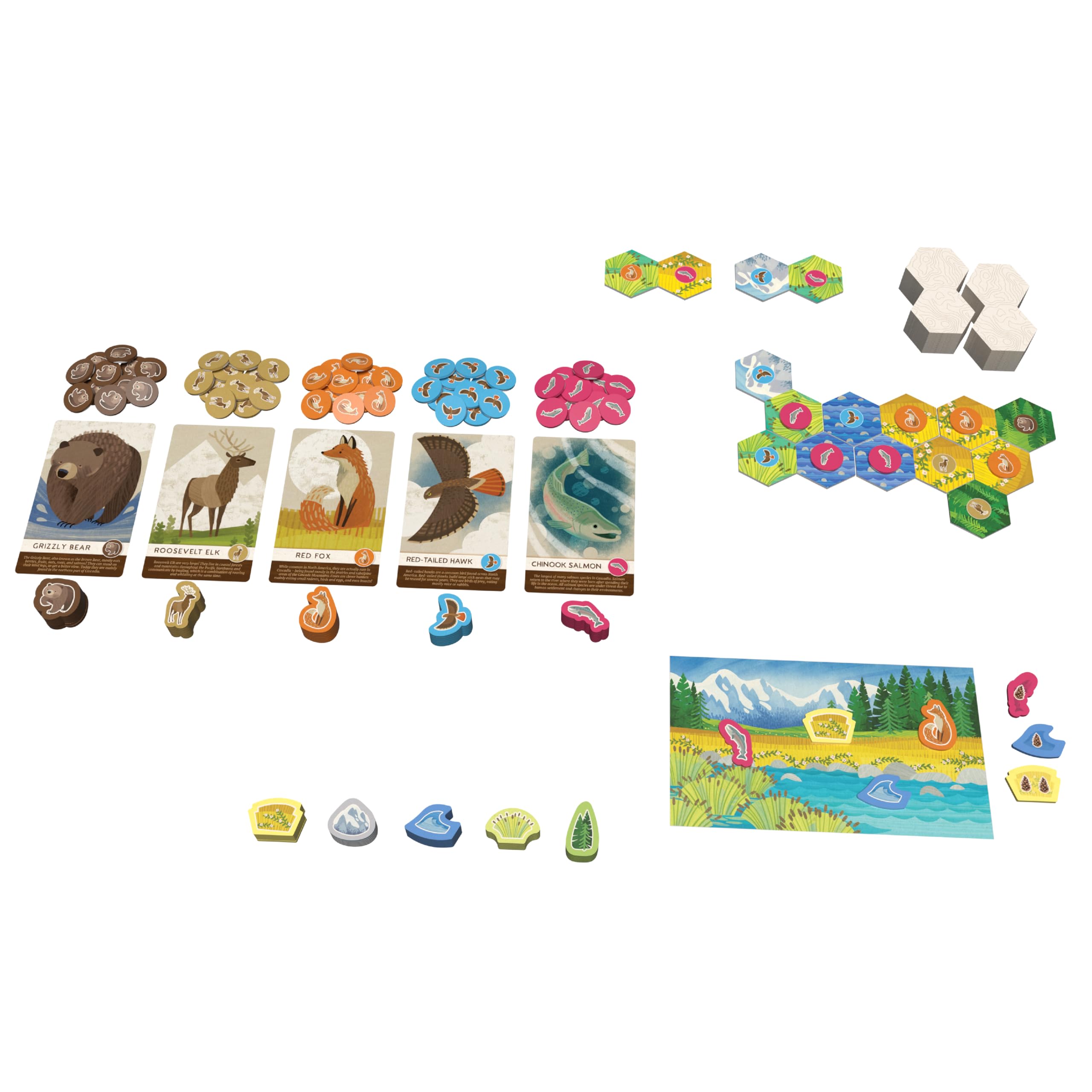 AEG Cascadia Junior mountain tile featuring bold terrain for quick puzzles