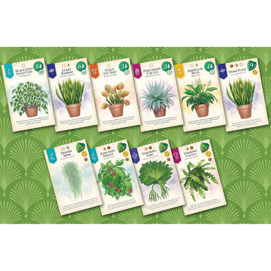 AEG Verdant board game components including cards and tokens for quick play.
