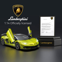 Aeroquest Lamborghini RC Car interior detail for realistic cockpit play