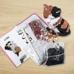 AHZILEI color instruction guide for cat blocks