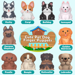 Aigybobo colorful kennels arranged for practicing sorting and matching.