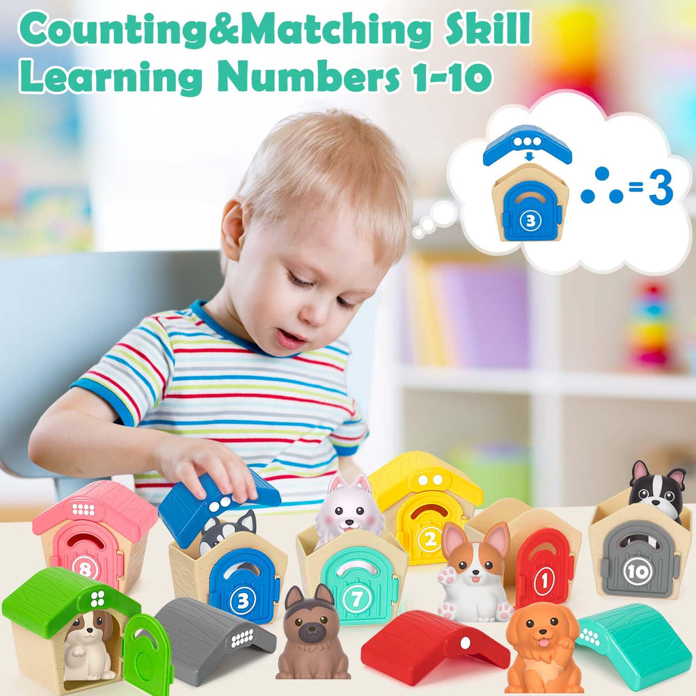 Aigybobo numbered kennels 1-10 enable early counting interaction.