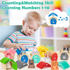 Aigybobo numbered kennels 1-10 enable early counting interaction.