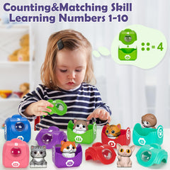 Odorless vinyl kittens and smooth-edged ABS bags ensure safe, lightweight play.