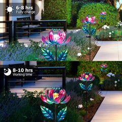 AIINY eight-color LED creating a vibrant lighting show at night